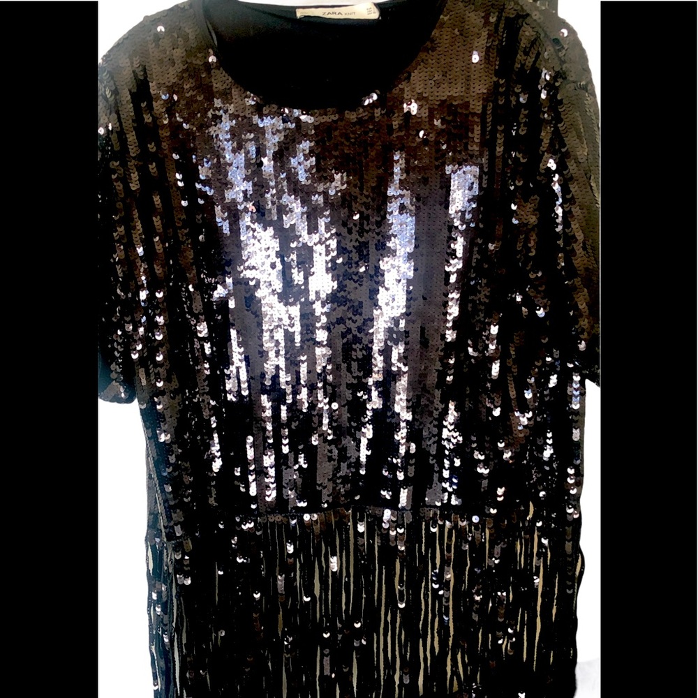 Zara Sequin Top